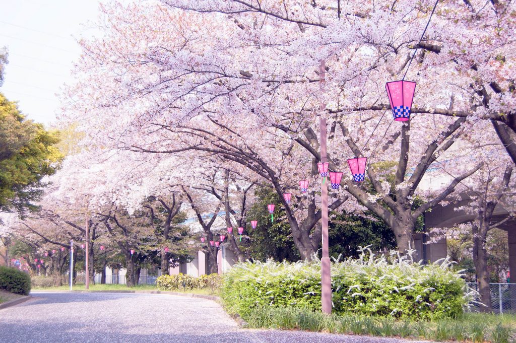 Arakogawa Park