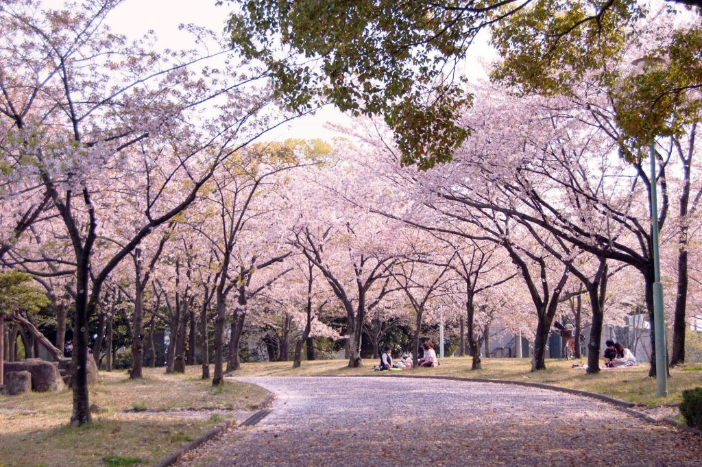 Arakogawa Park