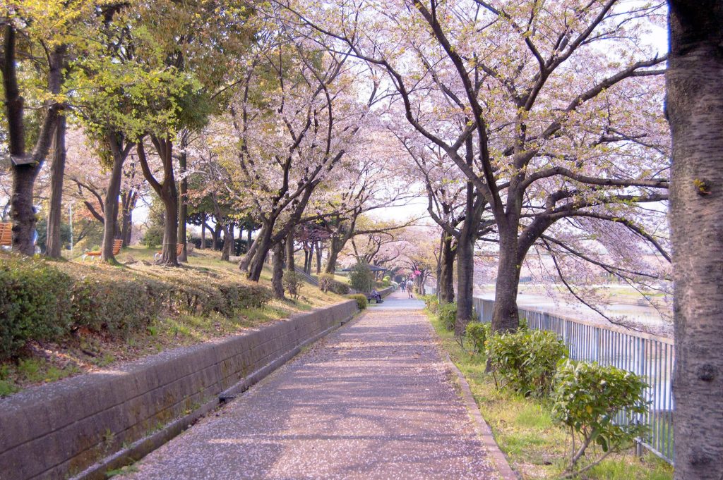 Arakogawa Park