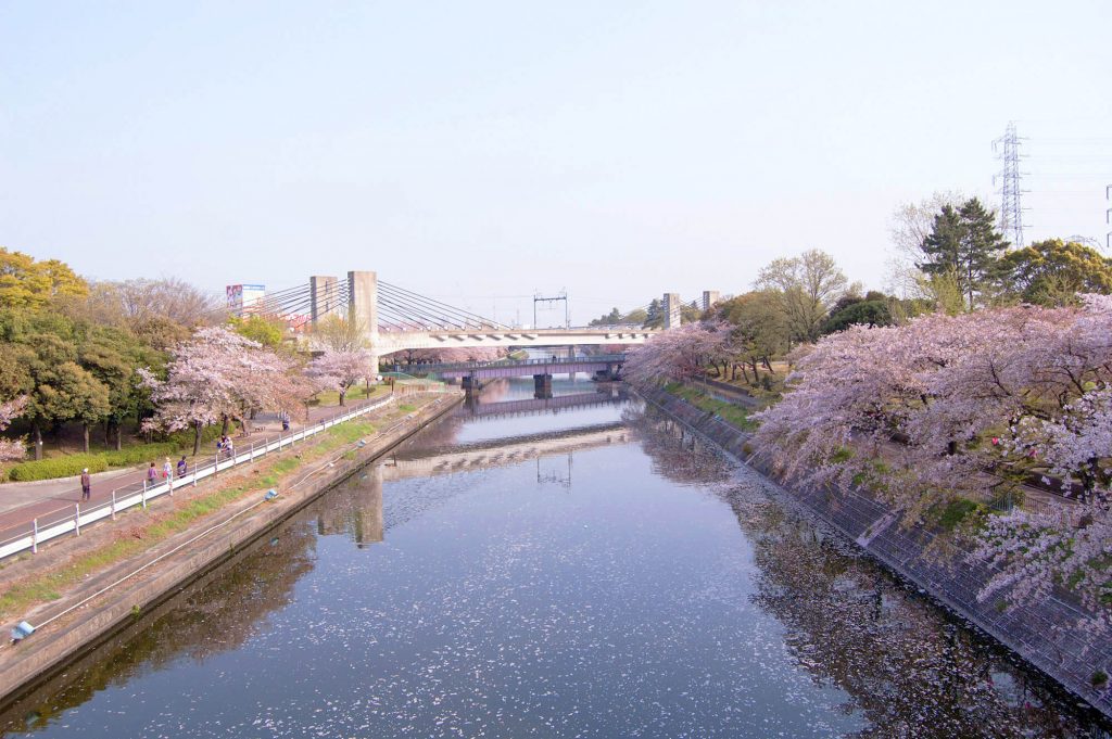 Arakogawa Park