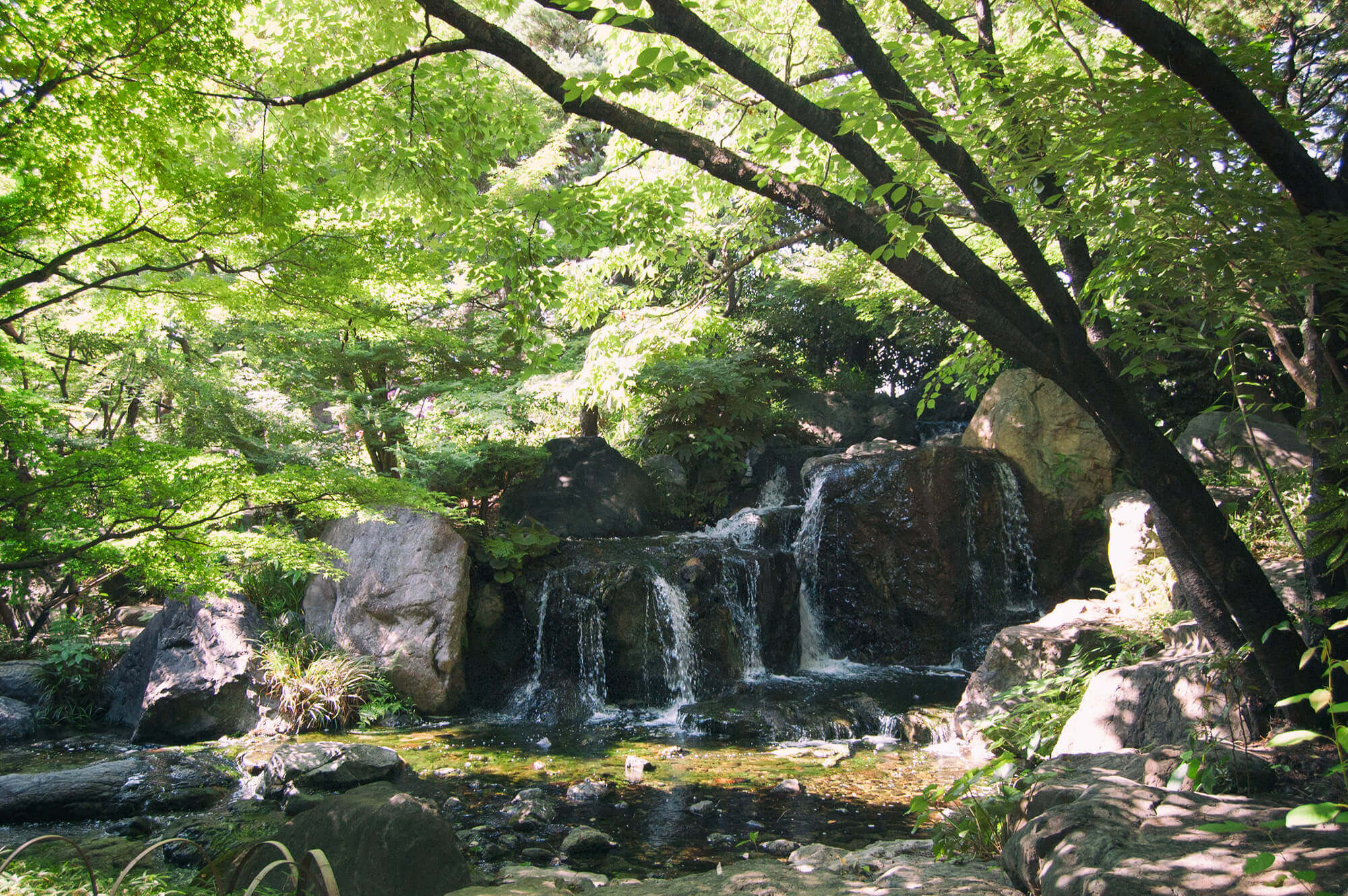 Waterfall in Shirotori Garden