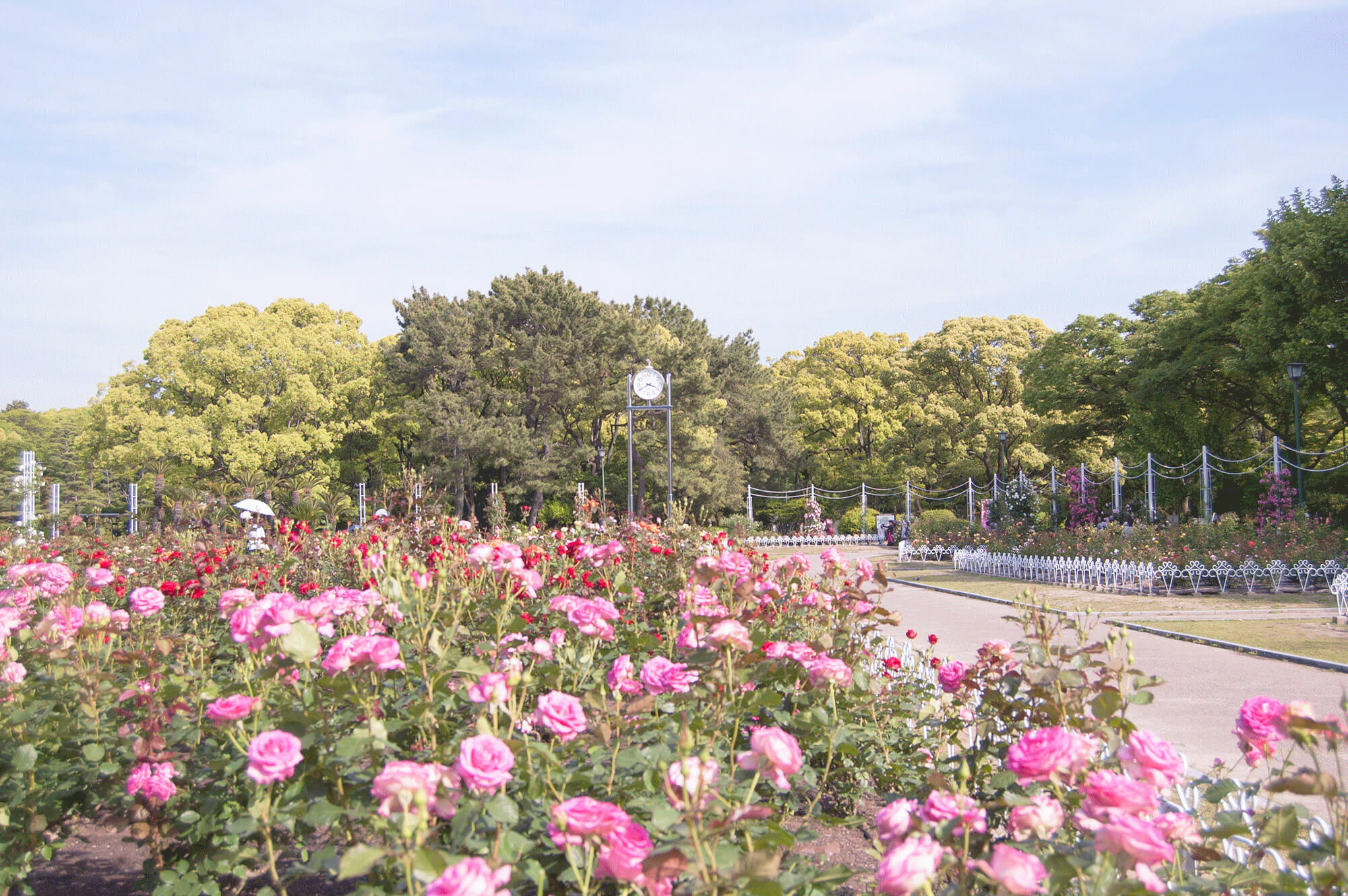 Tsuruma Park