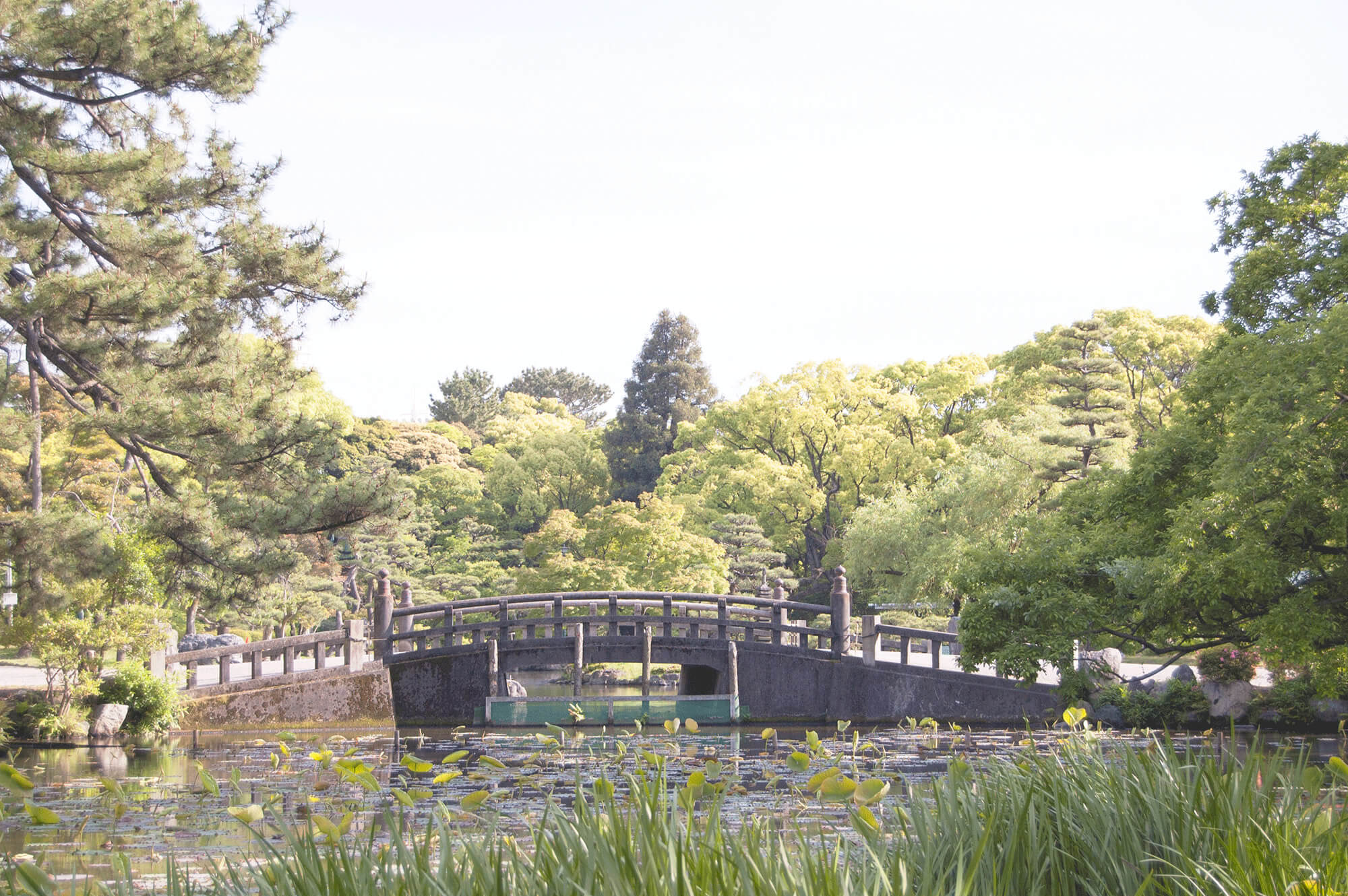 Tsuruma Park