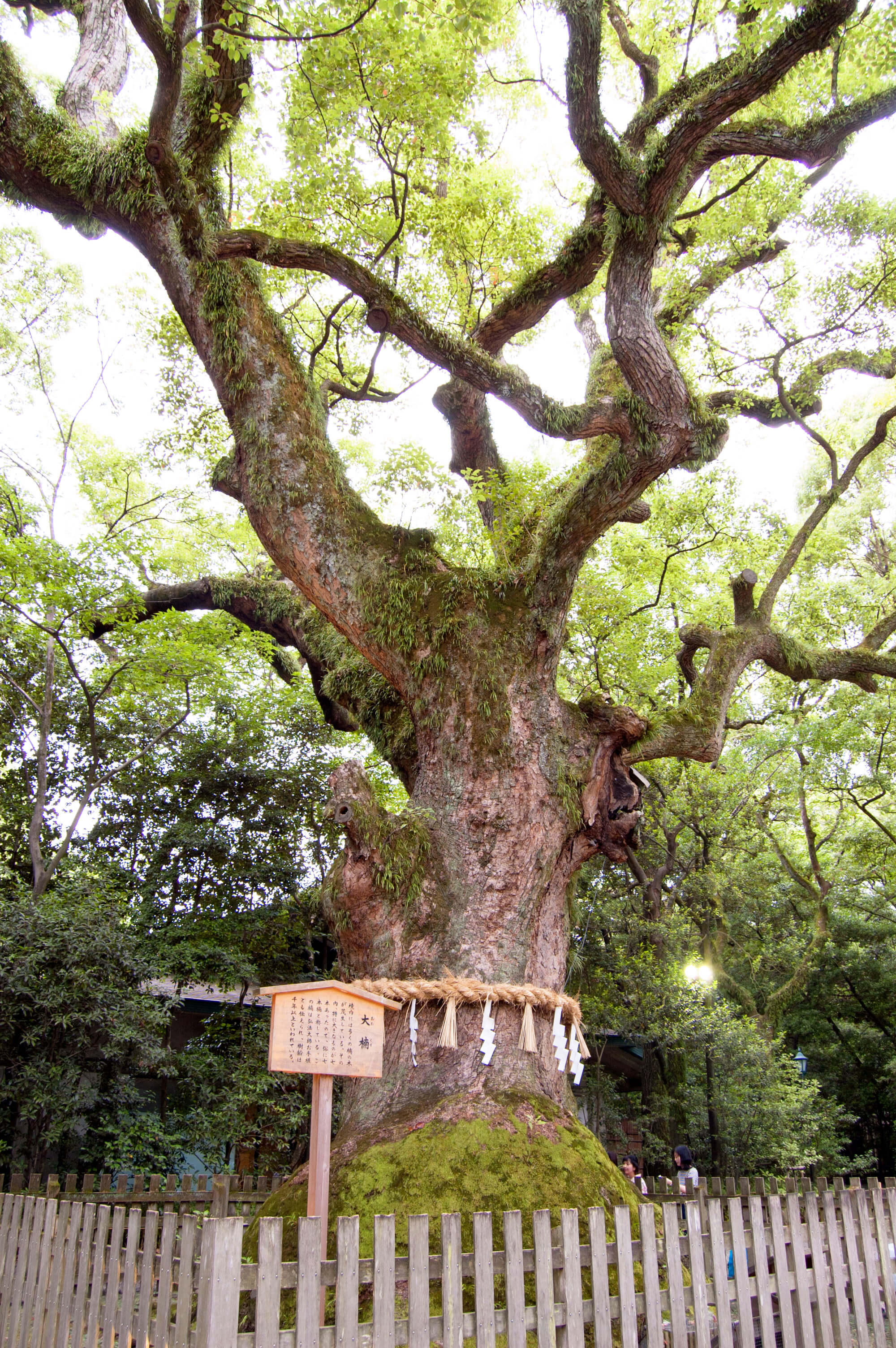 Atsuta Jingu