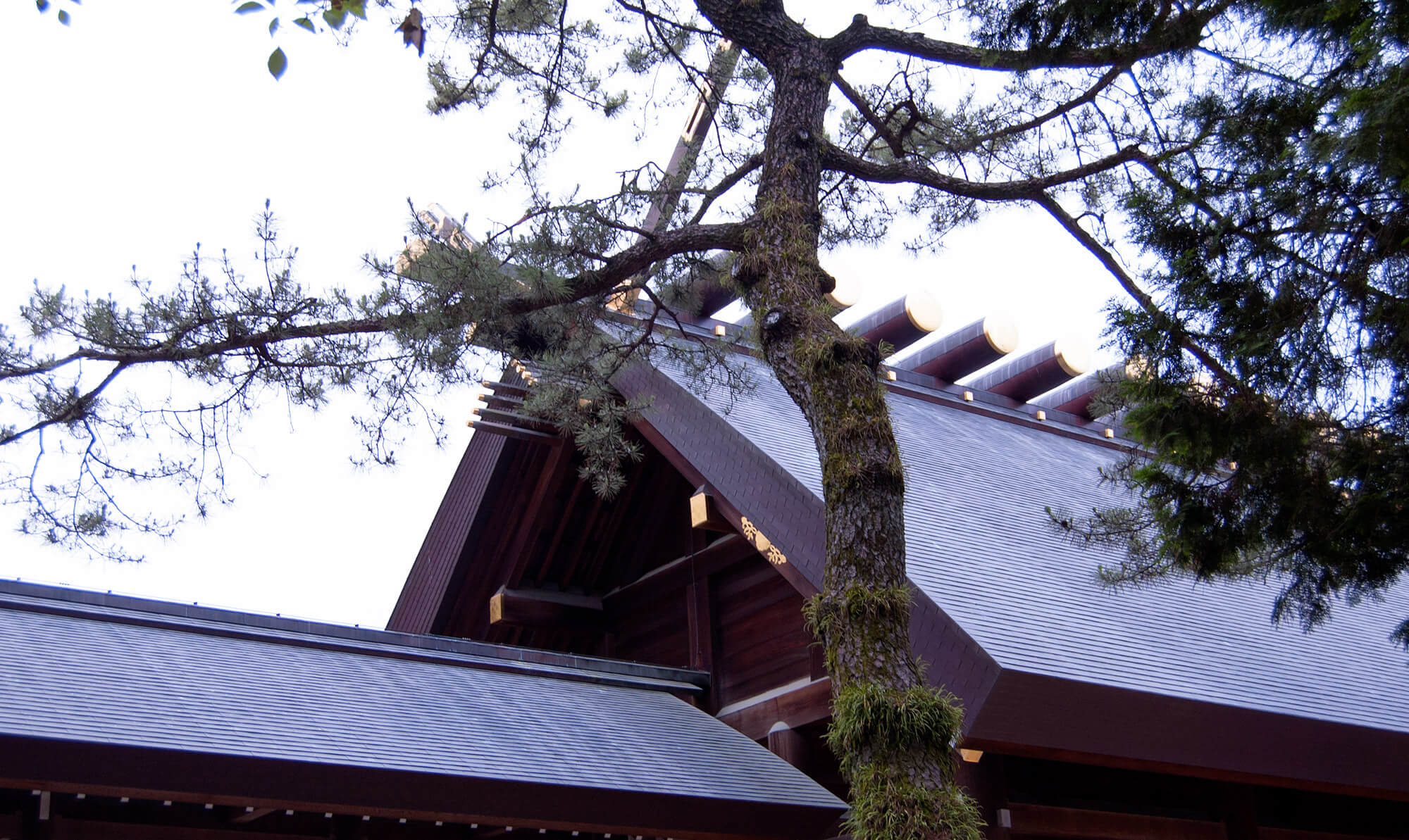 Atsuta Jingu