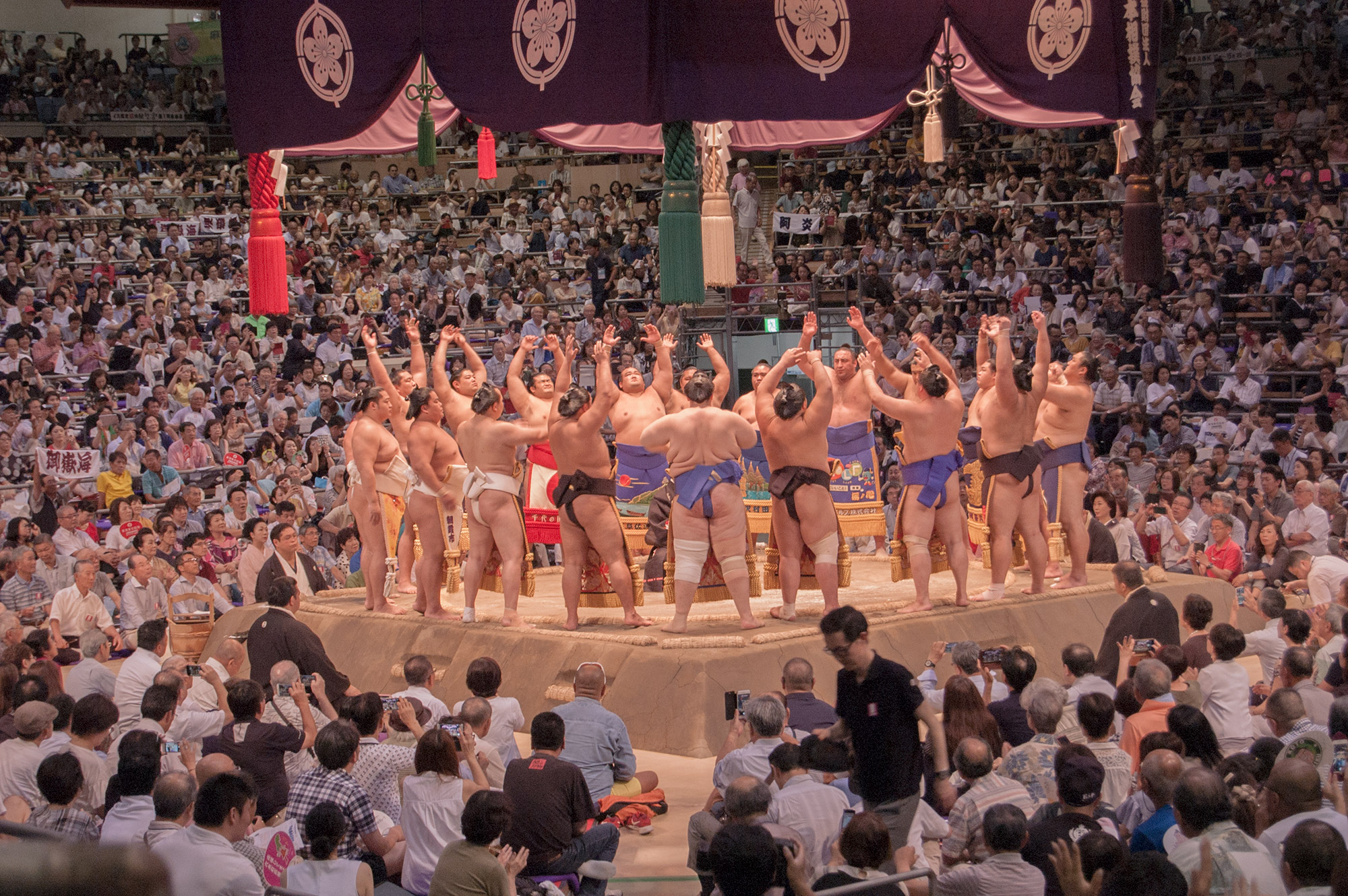 Grand Sumo Tournament At Nagoya Kawaii Aichi Travel To Aichi