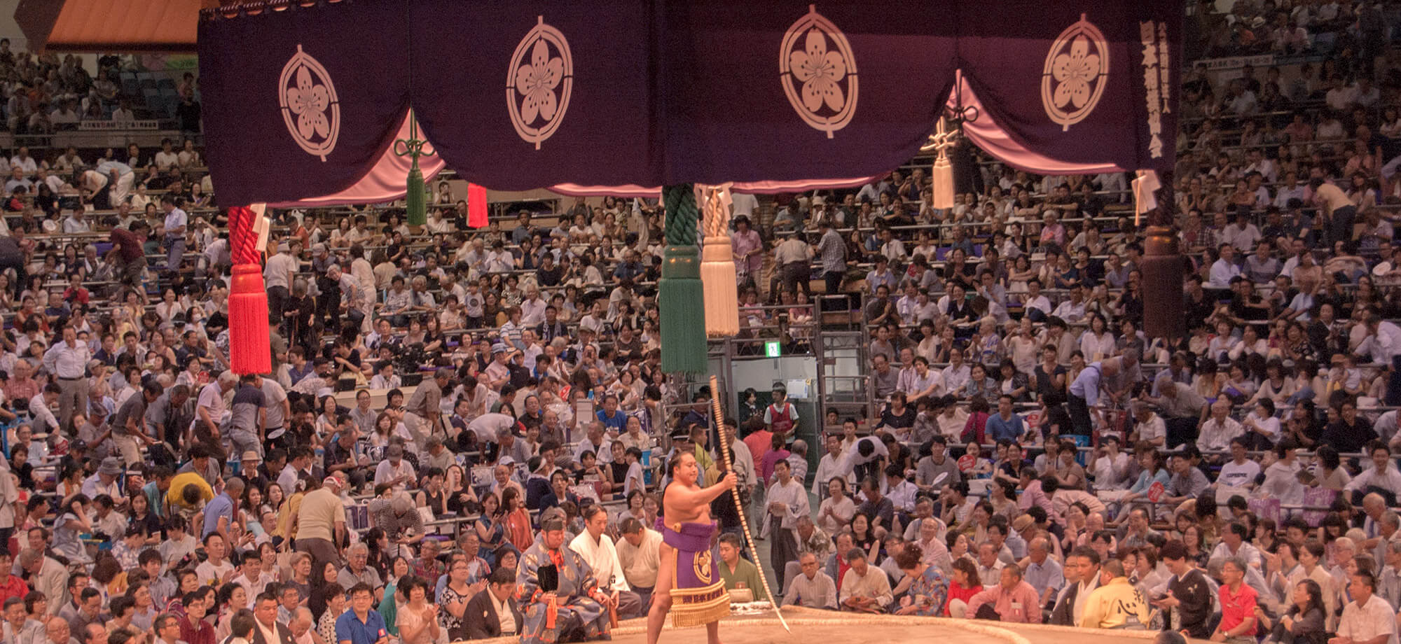 Sumo Nagoya Basho