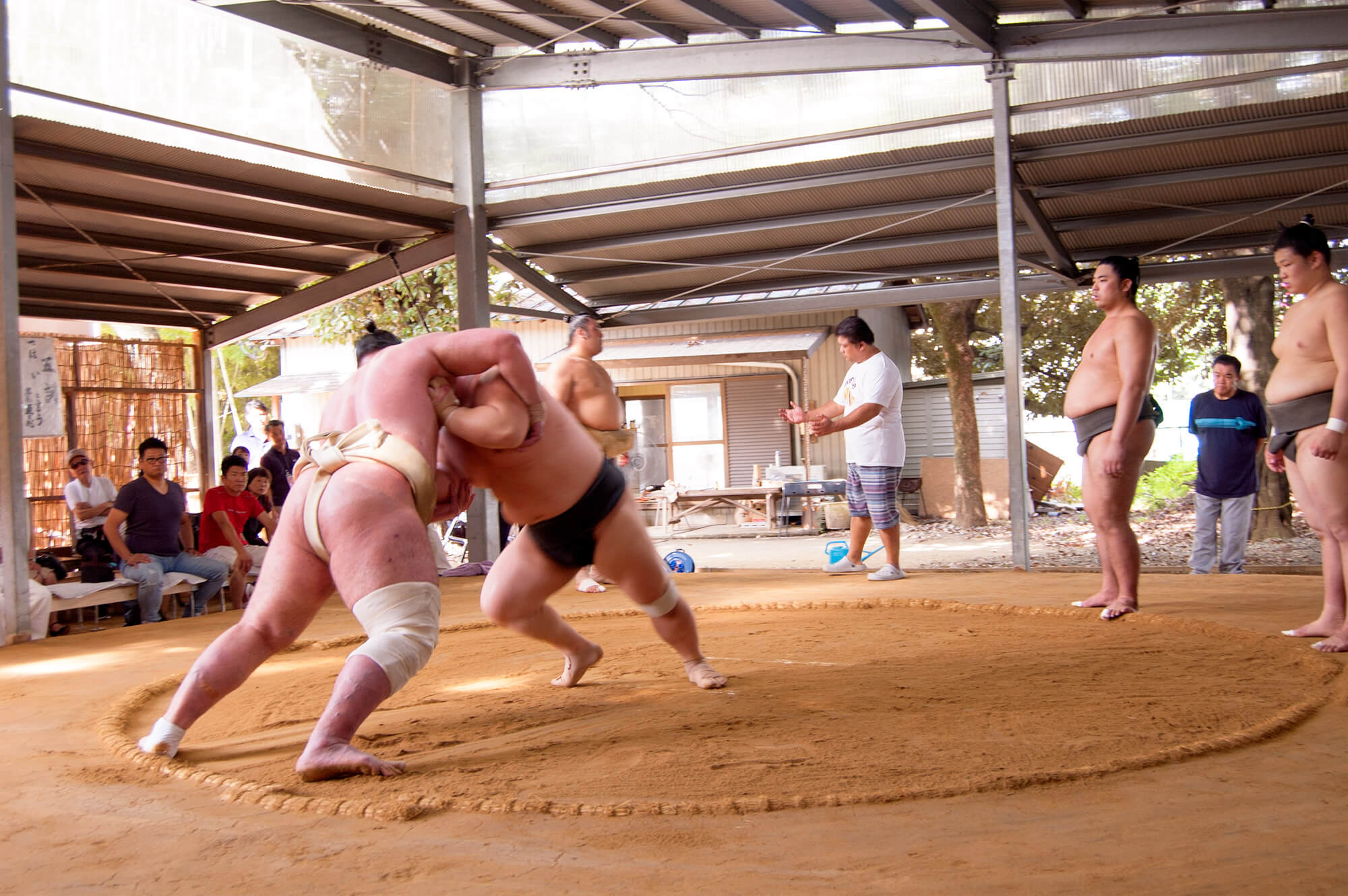 Qué tan fuerte puede ser un luchador de sumo, considerando que no son  musculosos? - Quora