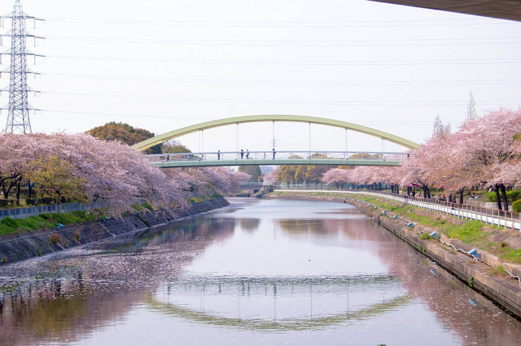 Arakogawa Park Cherry Blossom Festival