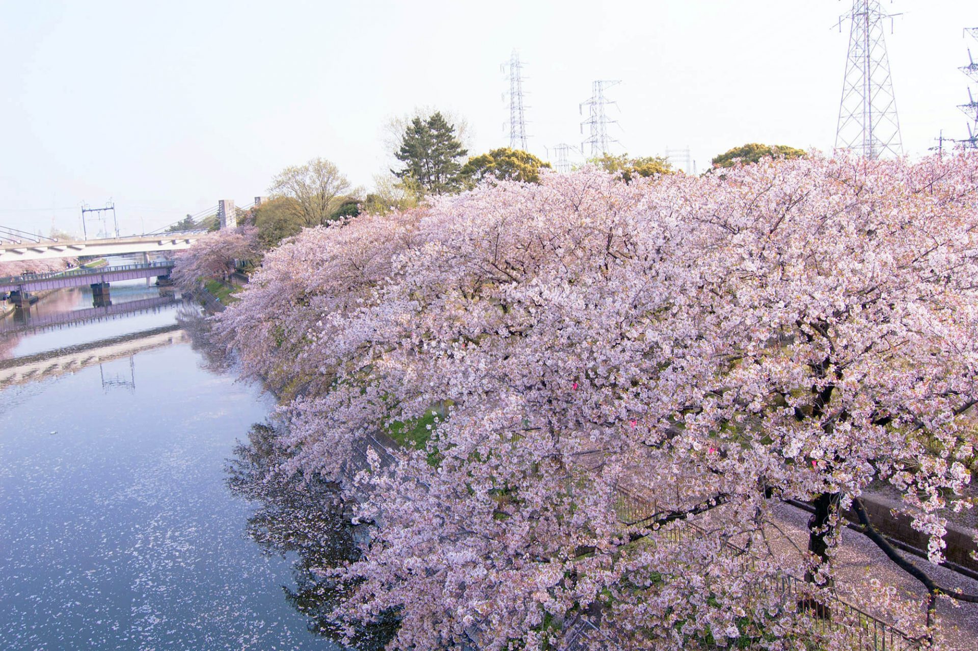 Arakogawa Park