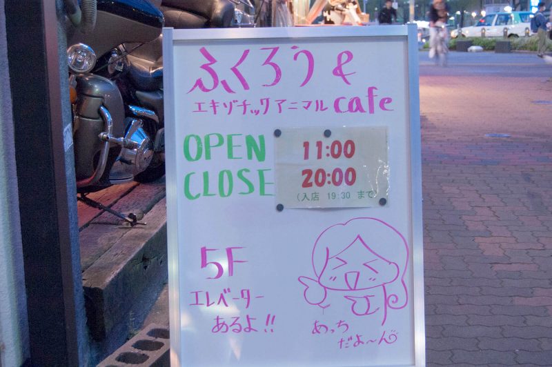 Owl Cafe Watadoll