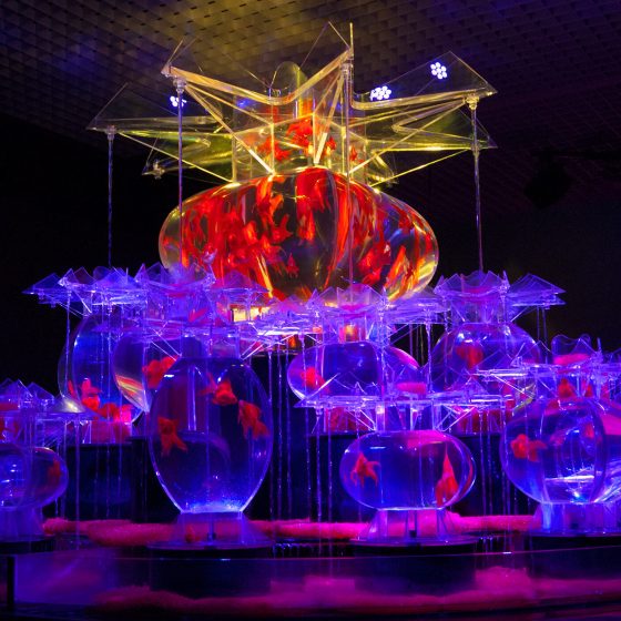 Art Aquarium Nagoya