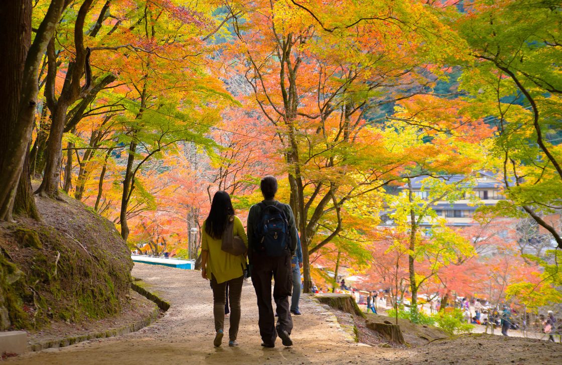 korankei12 Kawaii Aichi Travel to Aichi Prefecture. Visit Aichi