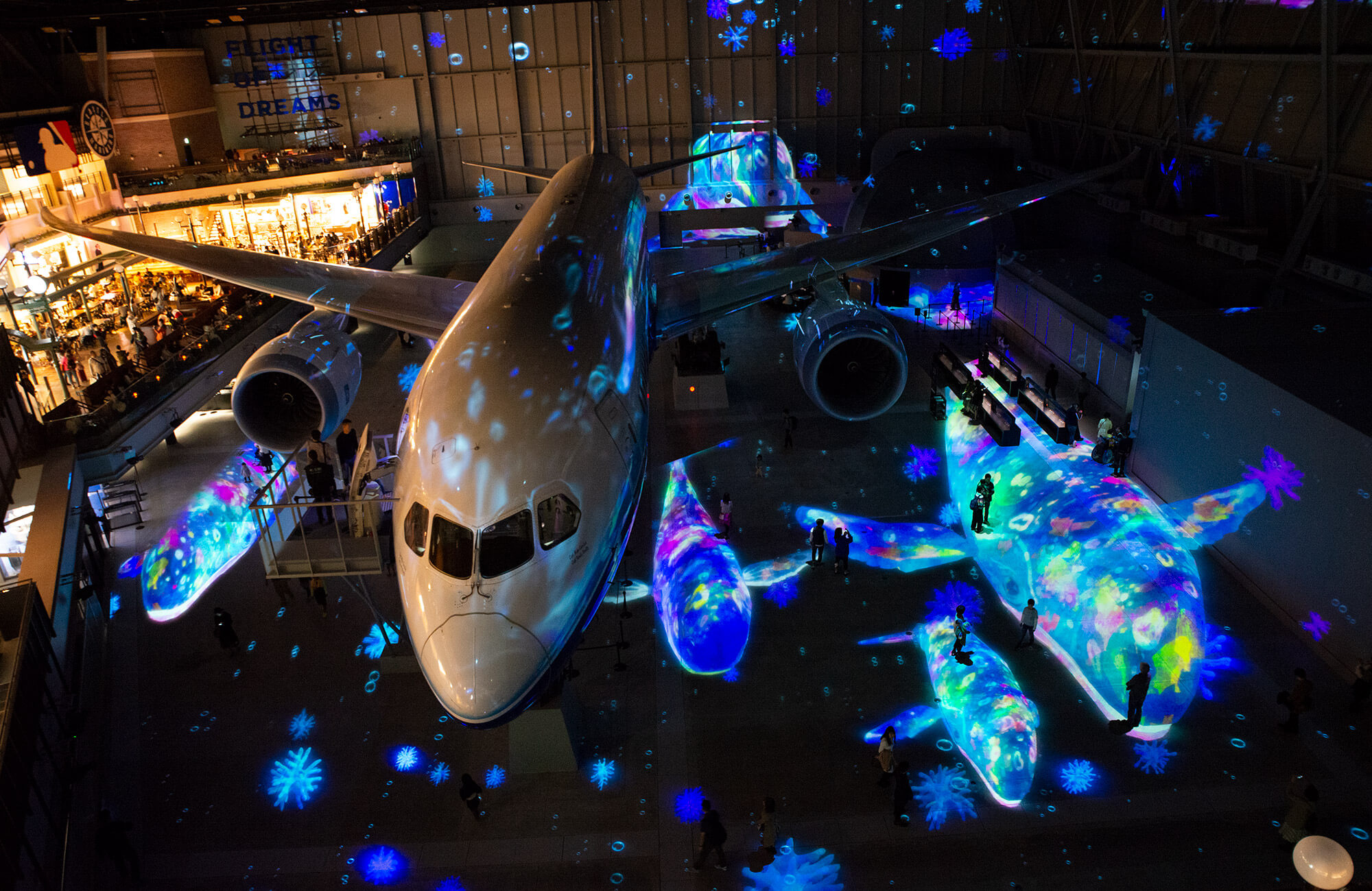 Flight of Dreams: Discover the Boeing 787 Dreamliner