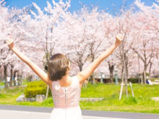 Sakura girl