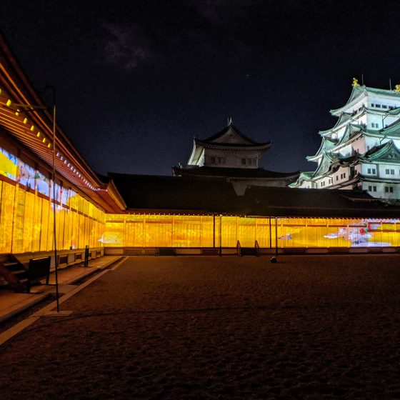 Nagoya Castle Night Visit